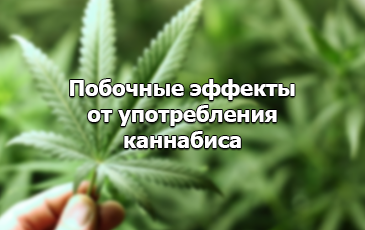 эффект от конопли